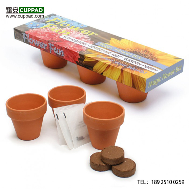 Customization Seedlings Grow Vegetable Seeds Planting Propagation Small Plant Pots