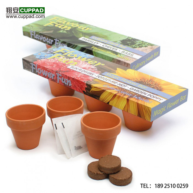 Customization Seedlings Grow Vegetable Seeds Planting Propagation Small Plant Pots