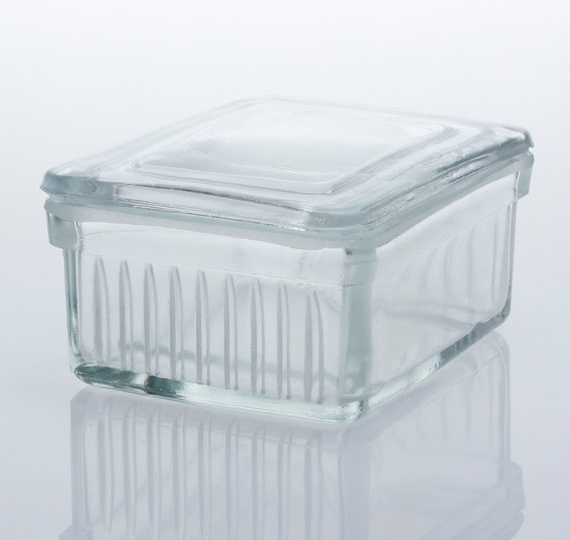 Glass Slide Staining Jar, Coplin Staining Jar 10-Slide Capacity