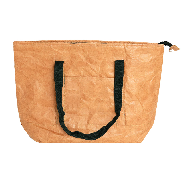 Tyvek Insulated Lunch Tote Bag