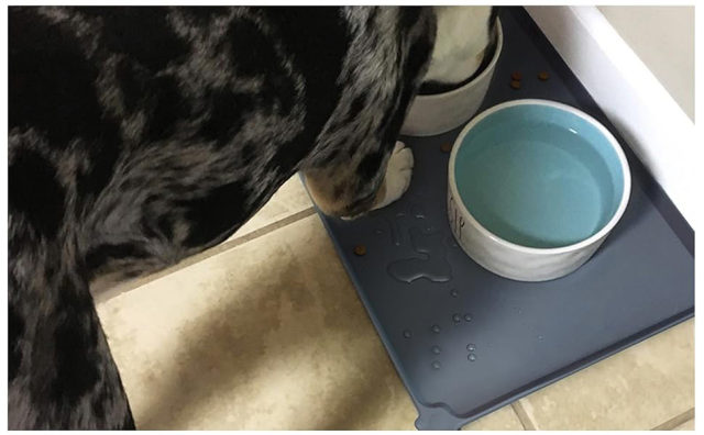 Silicone Pet Food Mats Tray