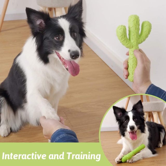 Durable Silicone Dog Toys for Aggressive Chewers