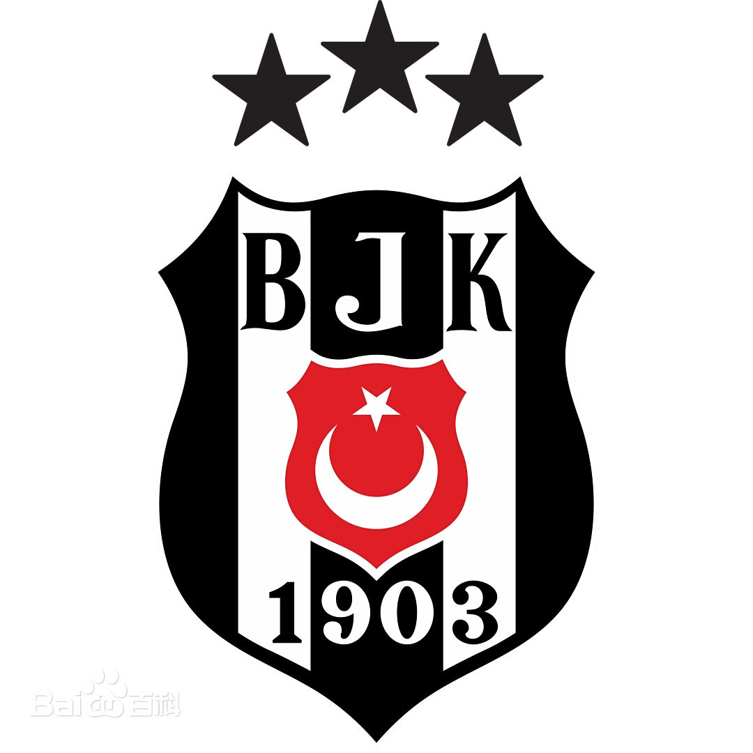 Besiktas JK