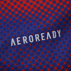 2526 season AFC Ajax Concept version Fan version