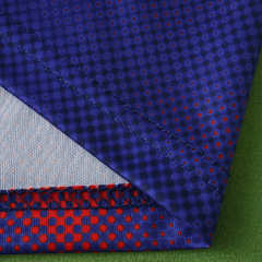 2526 season AFC Ajax Concept version Fan version