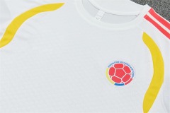2026 FIFA World Cup Colombia Training clothes suit Short sleeve Fan version