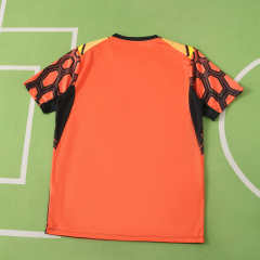 2627 season Eindhoven football club PSV away Fan version