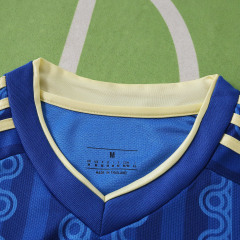 2026 FIFA World Cup Sweden away Fan version