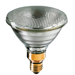 Heat Lamp PAR38 Light Bulb clear color