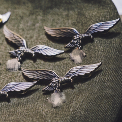 Vintage German eagle badge insignia