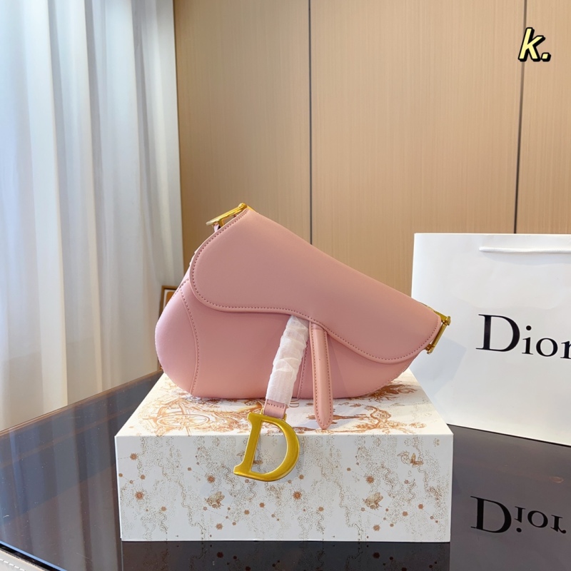 Dior saddle bag