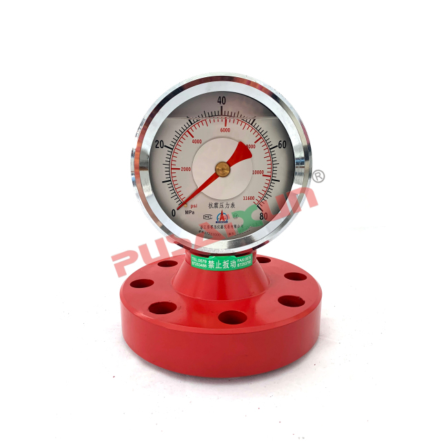 YK150-F，up to 23200 Psi flanged pump pressure Gauge