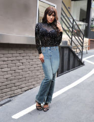 Silver Stars Pattern Sheer Mesh Long Sleeve Bodysuit