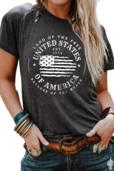 Gray United States Of America Flag Graphic Print Short Sleeve T Shirt LC25221389-11