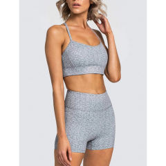 Gray Back Criss Yoga Bra with Shorts Set TQL710038-11
