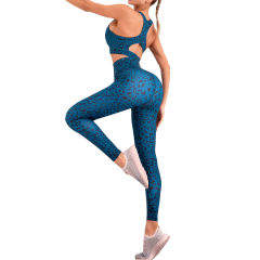 Blue Leopard Print Quick Dry Bra and Yoga Pant TQE990207-5