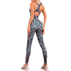 Snake Print Quick Dry Bra and Yoga Pant TQE990206-230