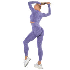 Purple Nylon Seamless Long Sleeve Pant Yoga Set TQE91361-8