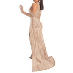 Apricot Rhinestones Mesh Stand Neck Party Dress TQK311258-18