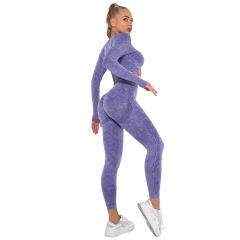 Purple Nylon Seamless Long Sleeve Pant Yoga Set TQE91361-8