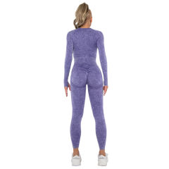 Purple Nylon Seamless Long Sleeve Pant Yoga Set TQE91361-8
