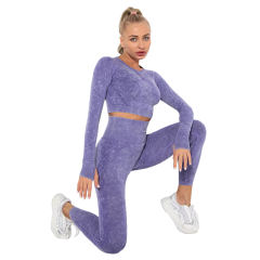 Purple Nylon Seamless Long Sleeve Pant Yoga Set TQE91361-8