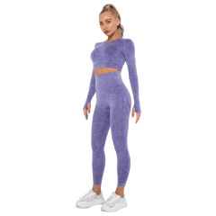 Purple Nylon Seamless Long Sleeve Pant Yoga Set TQE91361-8