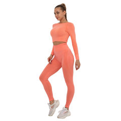 Rustic Coral Seamless Long Sleeve Yoga Sports Set TQE00135-84