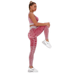 Wine Red Camo Print Sports Bra with High Waist Pant Set TQE00132-103