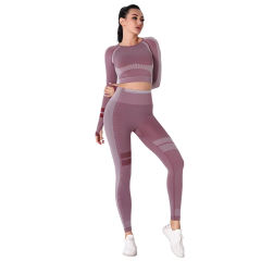 Wine Red Seamless Knit Long Sleeve Pant Yoga Set TQE91372-103