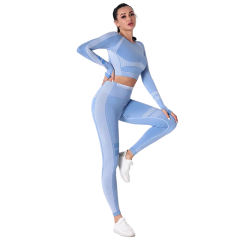 Light Blue Seamless Knit Long Sleeve Pant Yoga Set TQE91372-30
