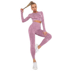 Wine Red Nylon Seamless Long Sleeve Pant Yoga Set TQE91361-103