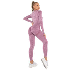 Wine Red Nylon Seamless Long Sleeve Pant Yoga Set TQE91361-103