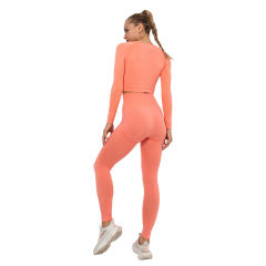 Rustic Coral Seamless Long Sleeve Yoga Sports Set TQE00135-84