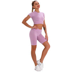 Pink Taupe Seamless Short Sleeve Yoga Sports Set TQE00138-87
