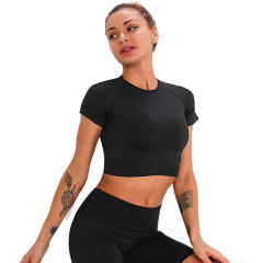Black Seamless Short Sleeve Yoga Sports Set TQE00138-2