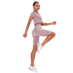 Light Purple Seamless Short Sleeve Yoga Sports Set TQE00138-38