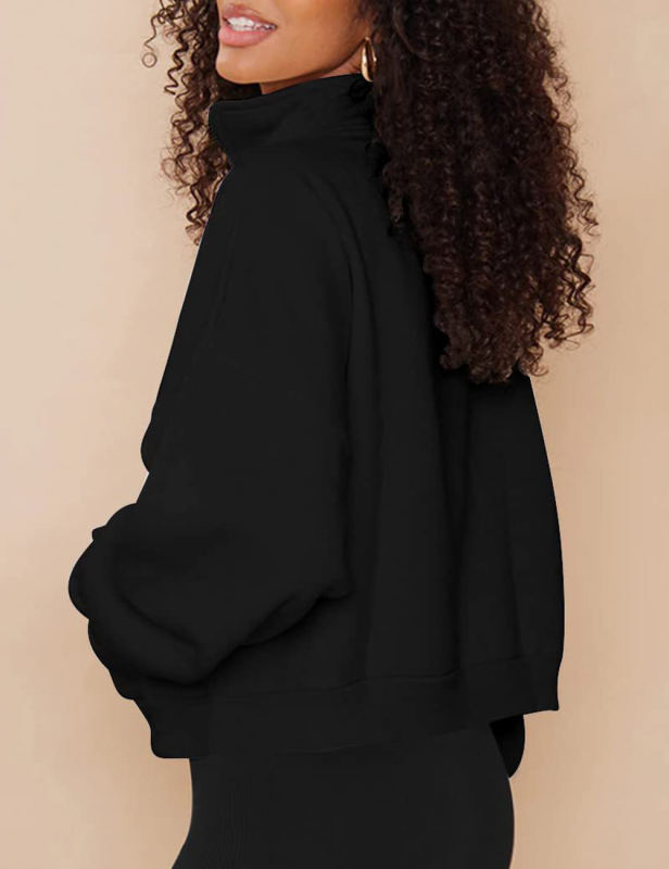 Black Zip-up Stand Collar Pocket Fleece Sweatshirt