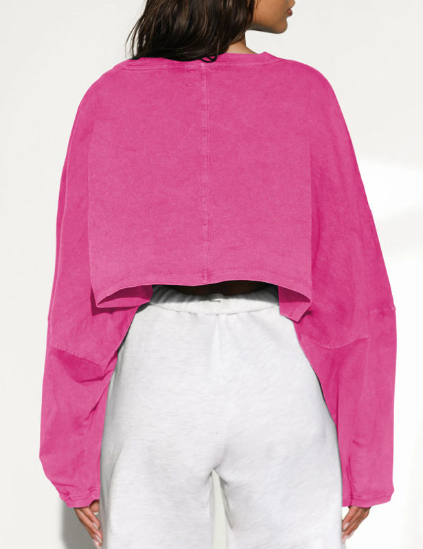 Rosy  Knit Sweatshirt Long Sleeve Crop Top