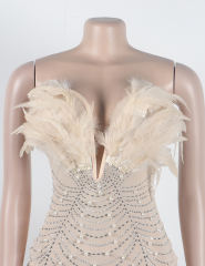 Apricot Feather Detail Rhinestones Mesh Bodycon Dress