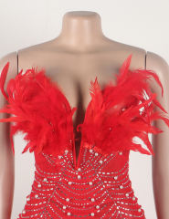 Red Feather Detail Rhinestones Mesh Bodycon Dress
