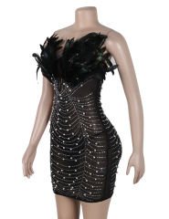 Black Feather Detail Rhinestones Mesh Bodycon Dress