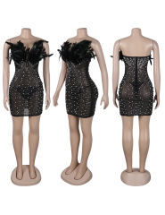 Black Feather Detail Rhinestones Mesh Bodycon Dress