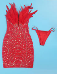 Red Feather Detail Rhinestones Mesh Bodycon Dress