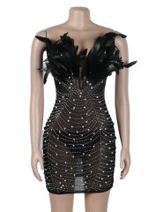 Black Feather Detail Rhinestones Mesh Bodycon Dress