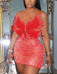 Red Feather Detail Rhinestones Mesh Bodycon Dress