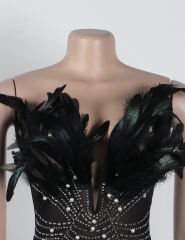 Black Feather Detail Rhinestones Mesh Bodycon Dress