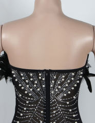 Black Feather Detail Rhinestones Mesh Bodycon Dress