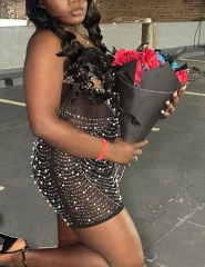 Black Feather Detail Rhinestones Mesh Bodycon Dress