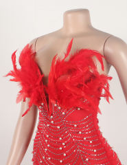 Red Feather Detail Rhinestones Mesh Bodycon Dress